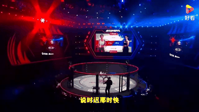kaiyun(中国)官方网站-JackeyLove重返赛场，晋级下一阶段首场状态出色，TL观众沸腾！气势如虹延续的简单介绍-kaiyun(中国)官方网站